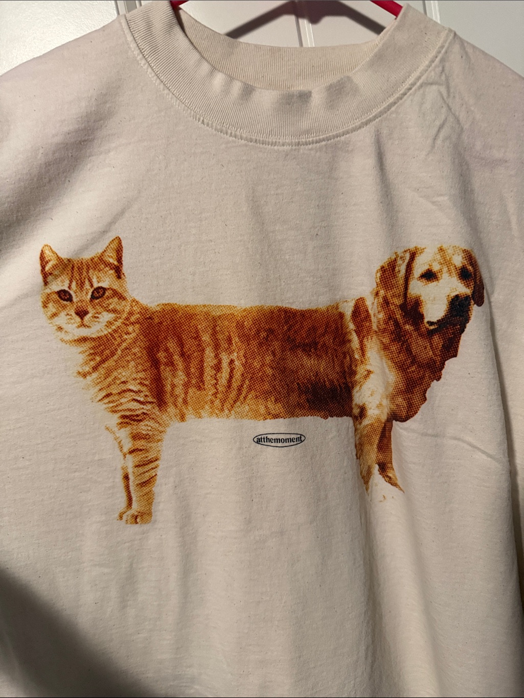 At The Moment - Cat & Dog Premium Oversized Tee — image 2 of 4